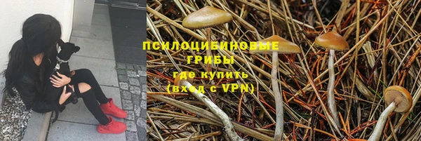 ПСИЛОЦИБИНОВЫЕ ГРИБЫ Алзамай